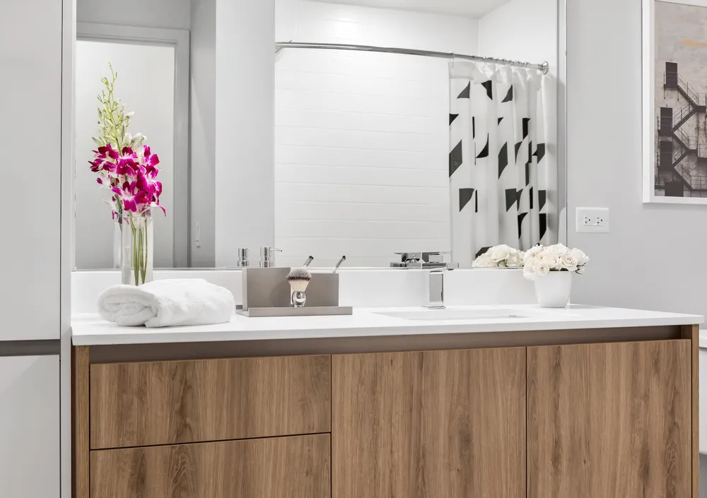 313 W Wolf Point Plaza, ,  60654, USA 60654-unit#1/1-Chicago-IL