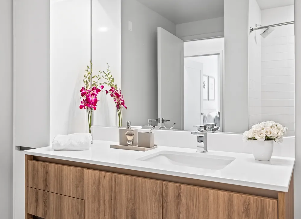 313 W Wolf Point Plaza, ,  60654, USA 60654-unit#1/1-Chicago-IL