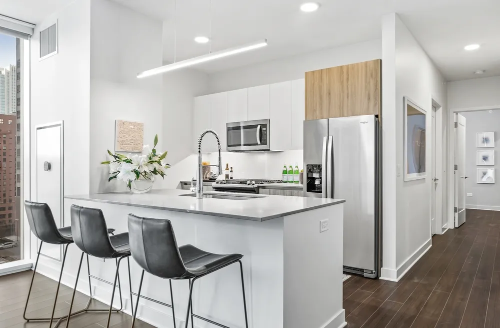 313 W Wolf Point Plaza, , 60654, USA 60654-unit#1/2 DEN-Chicago-IL