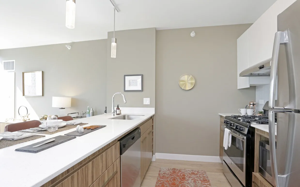 343 W Wolf Point Plaza, ,  60654, USA 60654-unit#1/1-Chicago-IL
