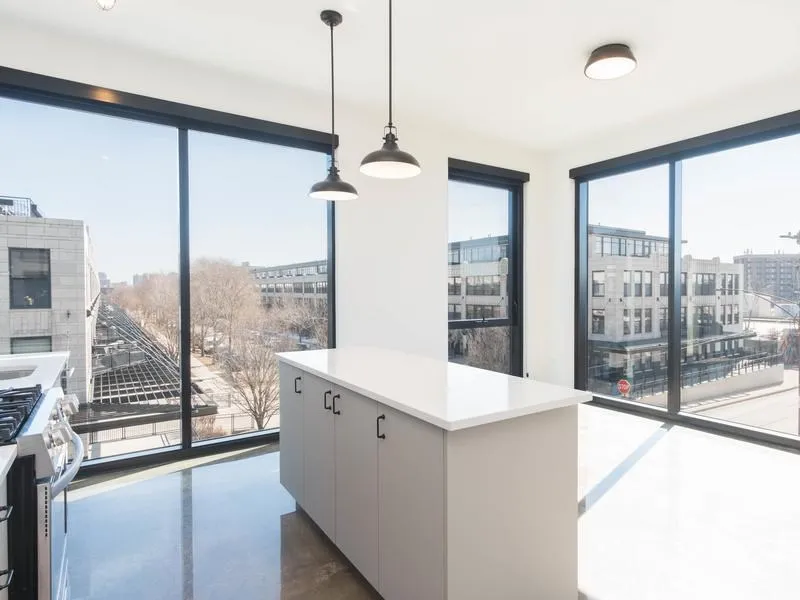 1461 S Blue Island Ave, , 60608, USA 60608-unit#2/2-Chicago-IL