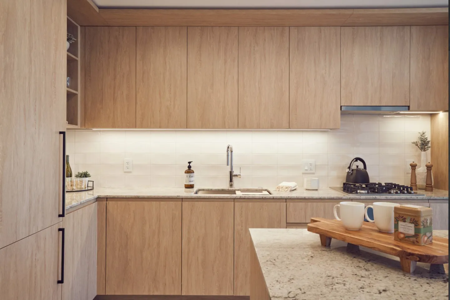 369 W Grand Ave, ,  60654, USA 60654-unit#1/1 DEN-Chicago-IL