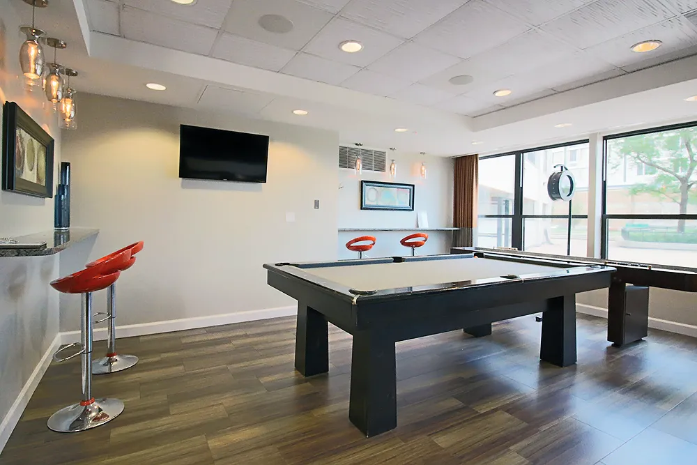 1130 S Michigan Ave, ,  60605, USA 60605-unit#1/1-Chicago-IL