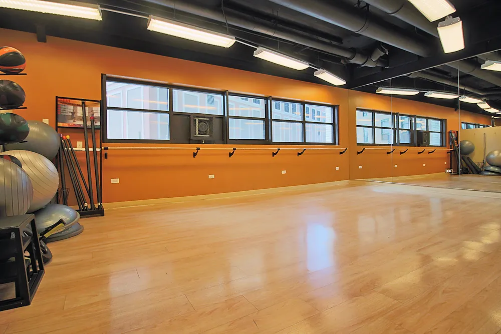 1130 S Michigan Ave, ,  60605, USA 60605-unit#1/1-Chicago-IL