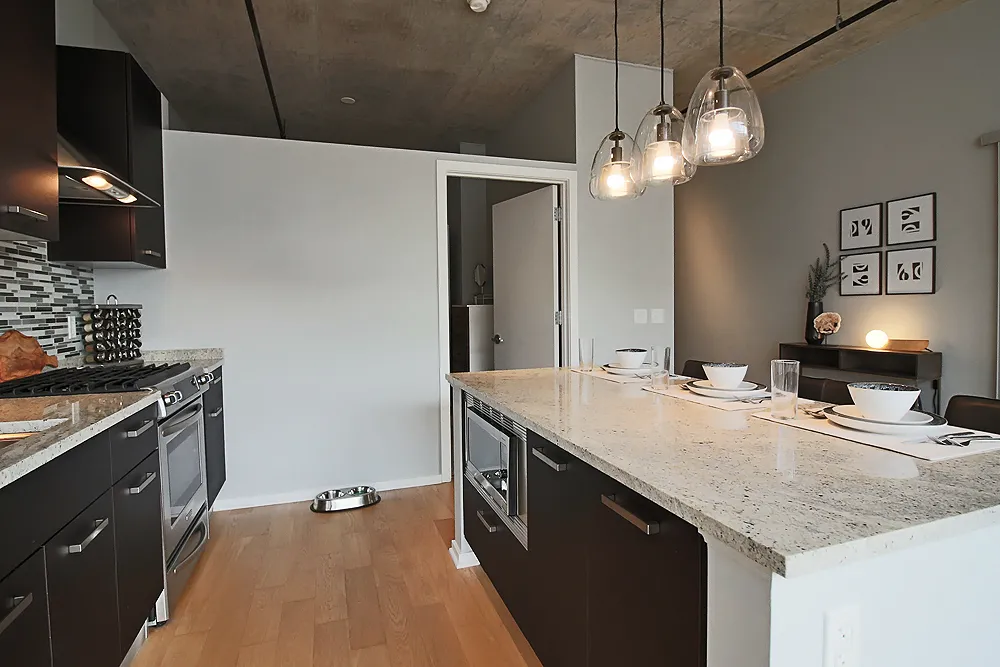 150 W Roosevelt Rd, ,  60605, USA 60605-unit#2/1-Chicago-IL