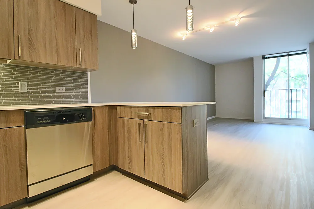 901 S Ashland Ave, ,  60607, USA 60607-unit#1/1-Chicago-IL