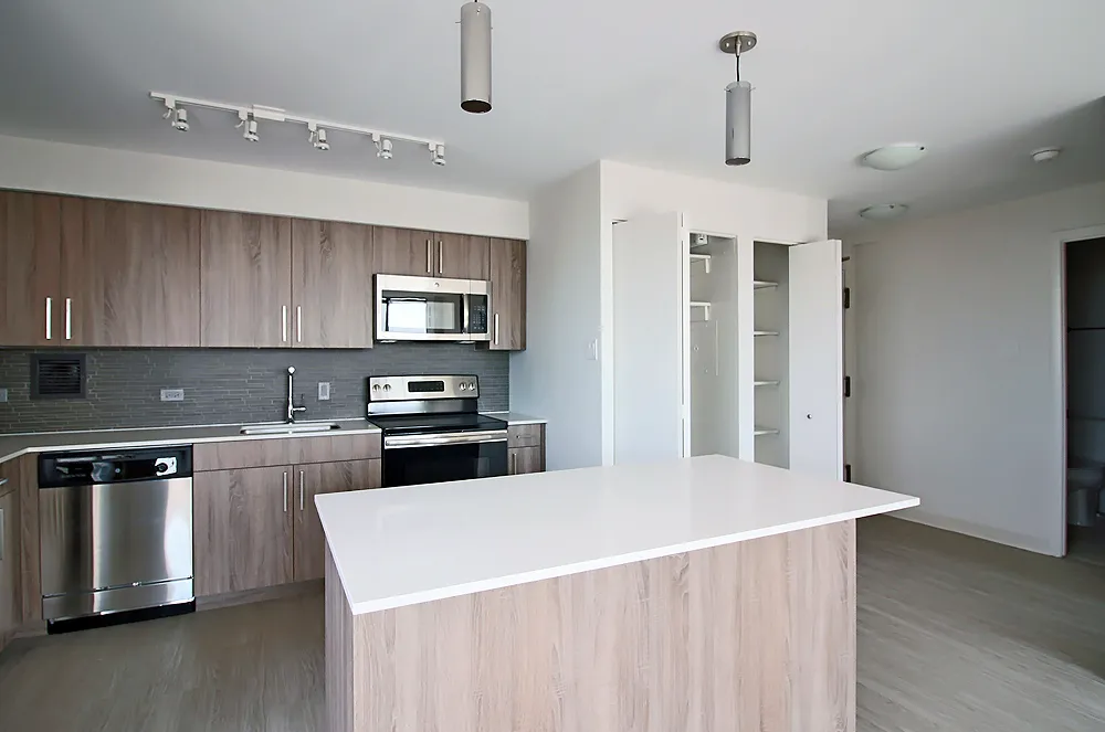 901 S Ashland Ave, , 60607, USA 60607-unit#2/2-Chicago-IL