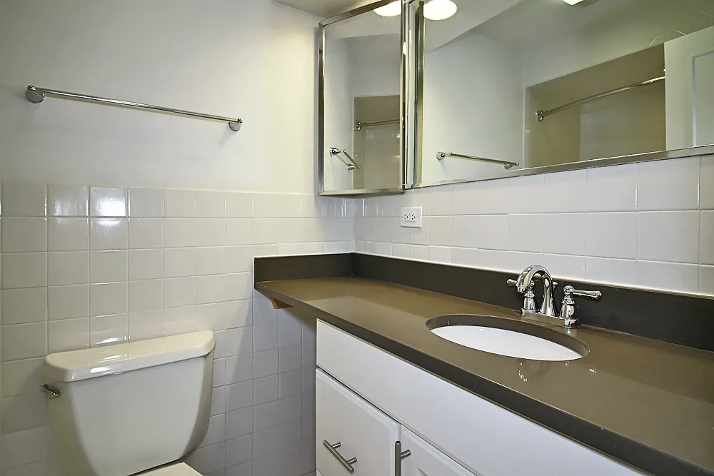 200 E Chestnut St, ,  60611, USA 60611-unit#1/1-Chicago-IL