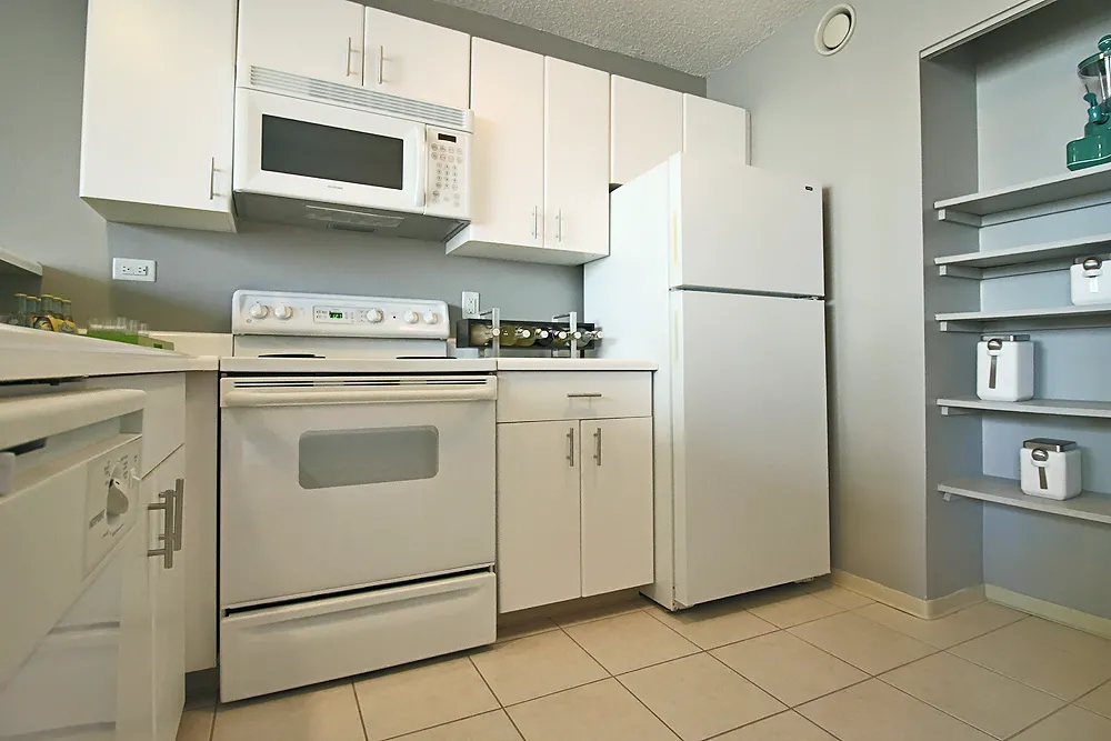 445 E Ohio St, ,  60611, USA 60611-unit#CONVERTIBLE-Chicago-IL