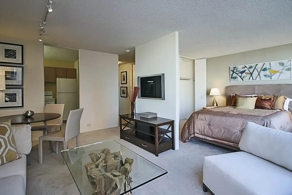 233 E Wacker Dr, ,  60601, USA 60601-unit#CONVERTIBLE-Chicago-IL