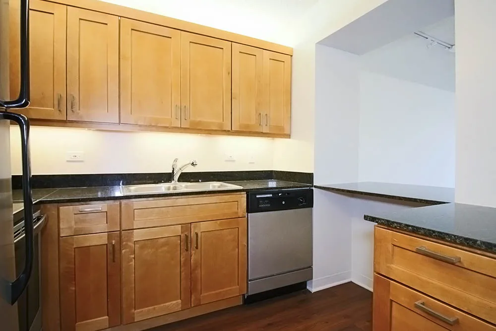 233 E Wacker Dr, ,  60601, USA 60601-unit#STUDIO-Chicago-IL