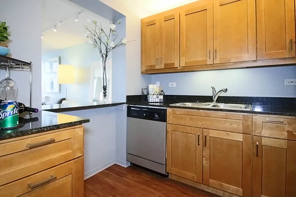 233 E Wacker Dr, ,  60601, USA 60601-unit#1/1-Chicago-IL