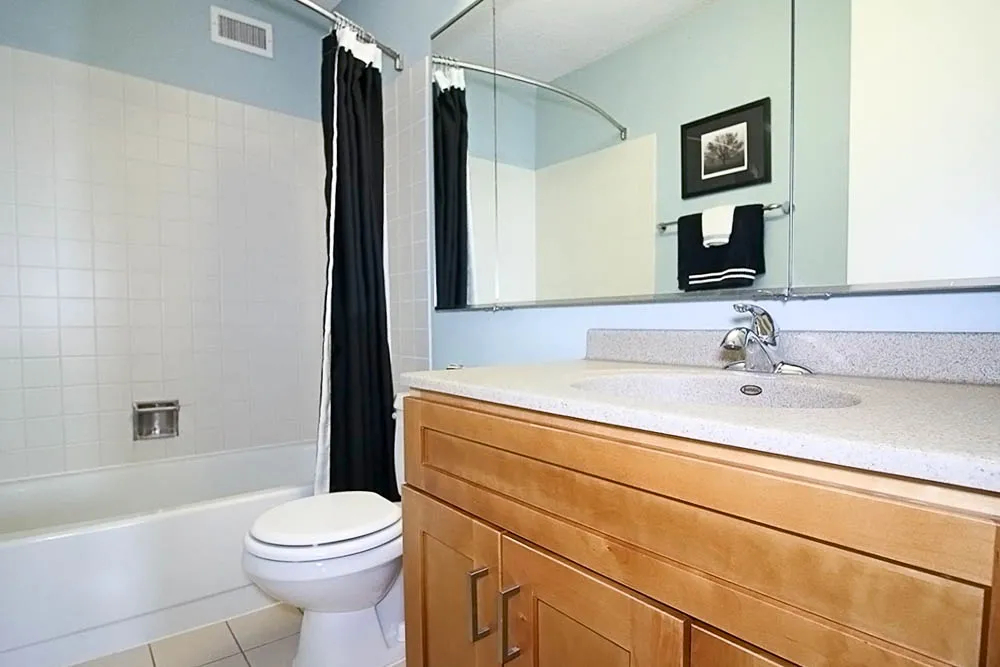 233 E Wacker Dr, ,  60601, USA 60601-unit#1/1-Chicago-IL