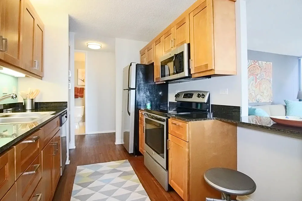 233 E Wacker Dr, ,  60601, USA 60601-unit#2/2-Chicago-IL