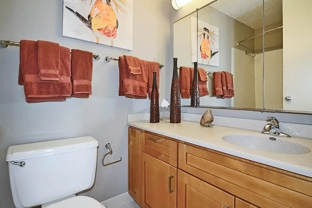 233 E Wacker Dr, ,  60601, USA 60601-unit#2/2-Chicago-IL