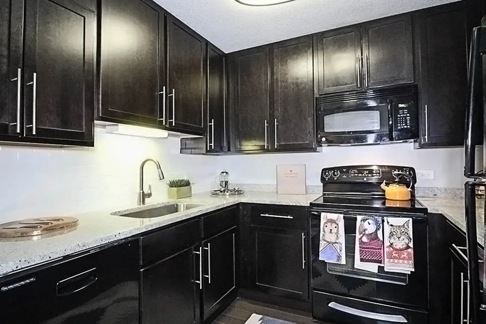 77 W Huron St, ,  60654, USA 60654-unit#1/1-Chicago-IL