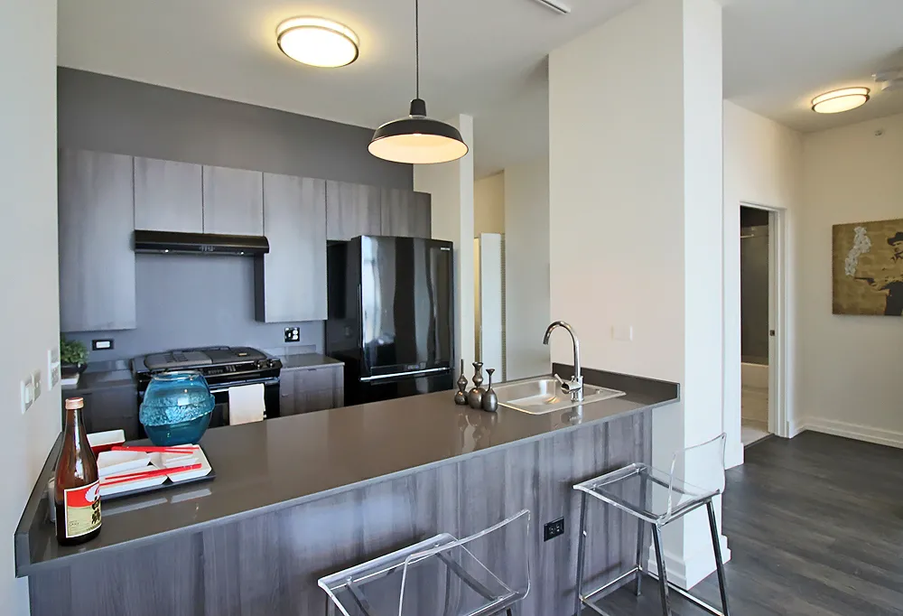 2138 S Indiana Ave, ,  60616, USA 60616-unit#1/1 DEN-Chicago-IL