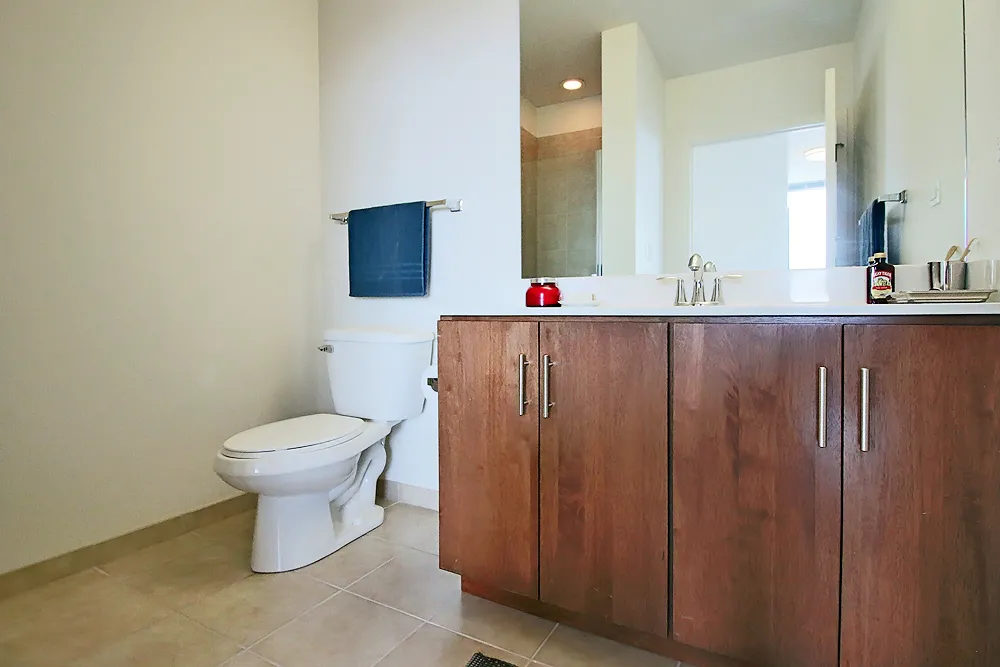 2138 S Indiana Ave, ,  60616, USA 60616-unit#2/2 DEN-Chicago-IL