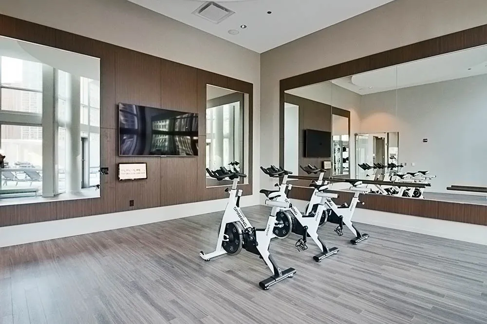 465 N Park Dr, ,  60611, USA 60611-unit#2/2.5 PENTHOUSE-Chicago-IL