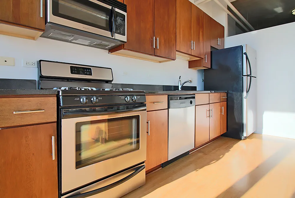 2138 S Indiana Ave, ,  60616, USA 60616-unit#1/1 LOFT-Chicago-IL