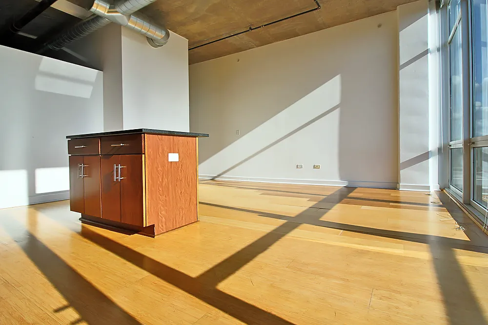 2138 S Indiana Ave, ,  60616, USA 60616-unit#1/1 LOFT-Chicago-IL