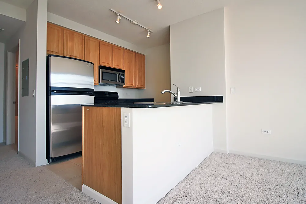 353 N Desplaines St, ,  60661, USA 60661-unit#STUDIO-Chicago-IL