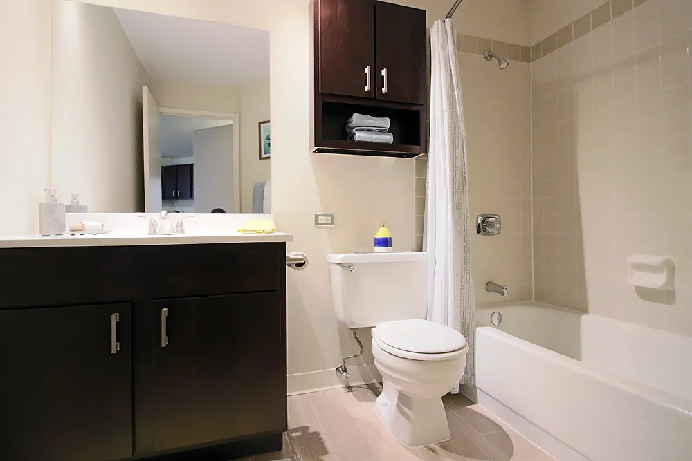 8 W Chestnut St, ,  60610, USA 60610-unit#CONVERTIBLE-Chicago-IL