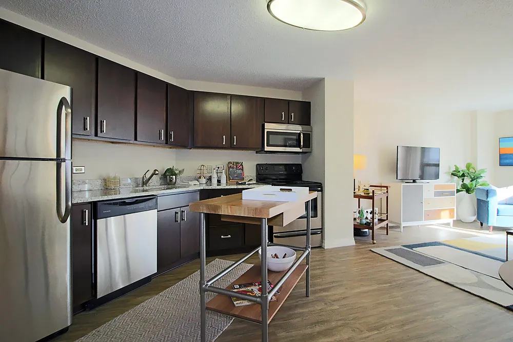 8 W Chestnut St, ,  60610, USA 60610-unit#1/1-Chicago-IL