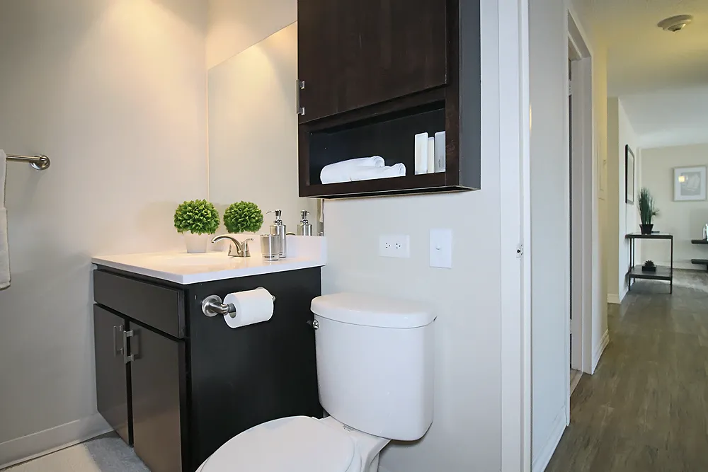 8 W Chestnut St, ,  60610, USA 60610-unit#2/1.5-Chicago-IL