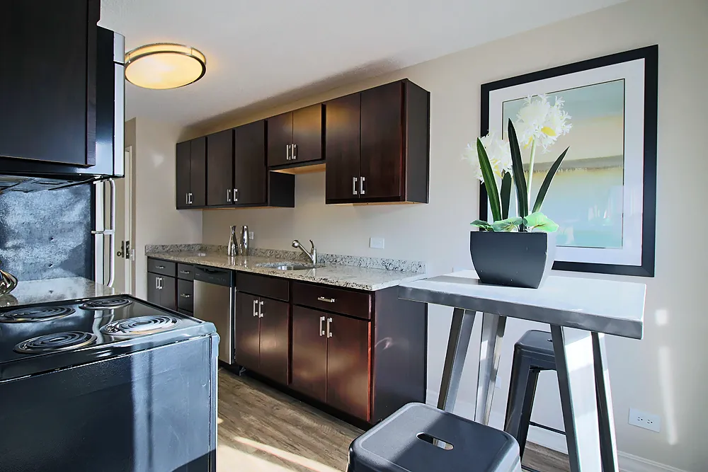 8 W Chestnut St, ,  60610, USA 60610-unit#2/1.5-Chicago-IL