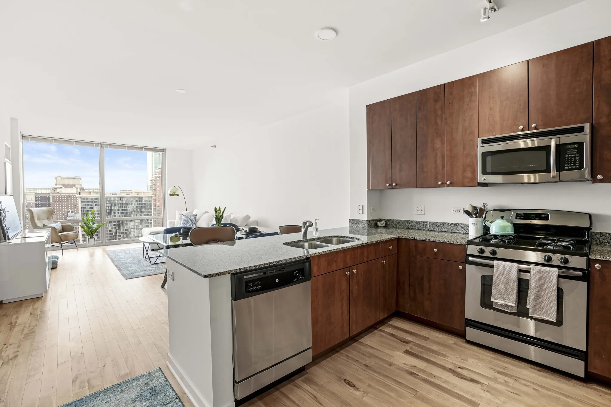 730 S Clark St, , 60605, USA 60605-unit#1/1.5 DEN-Chicago-IL