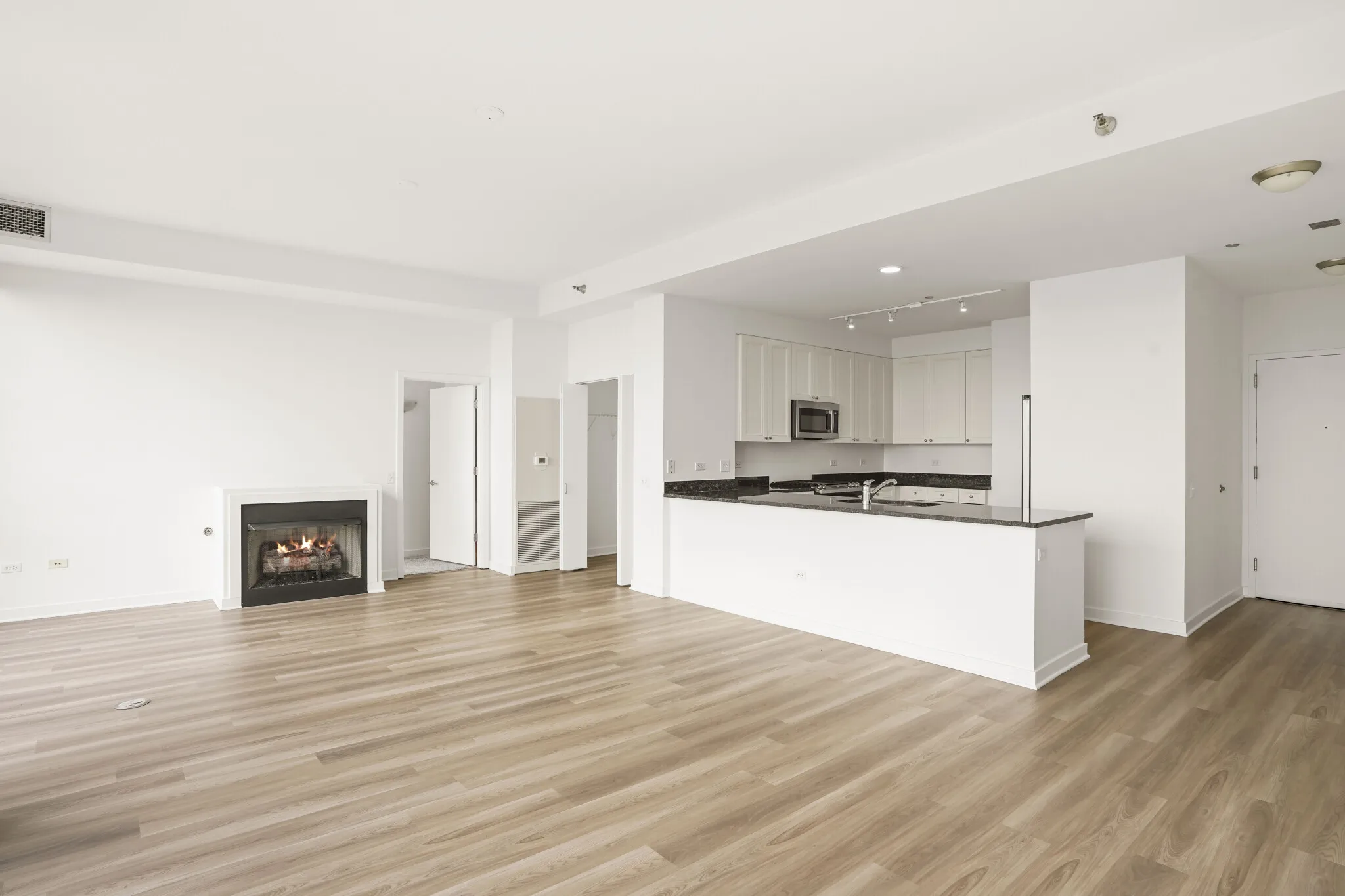 730 S Clark St, , 60605, USA 60605-unit#1/1.5 PENTHOUSE-Chicago-IL