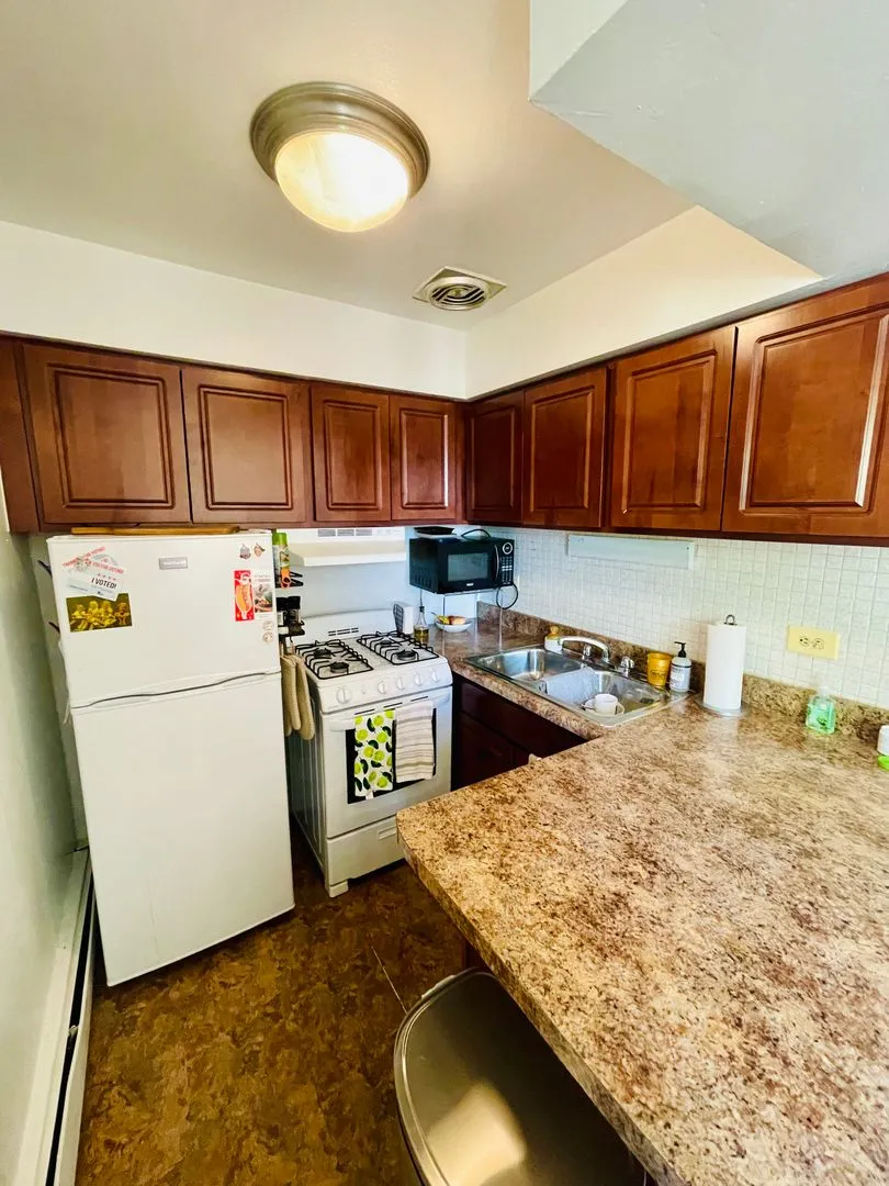3160 N Cambridge Ave, , 60657, USA 60657-unit#504-Chicago-IL