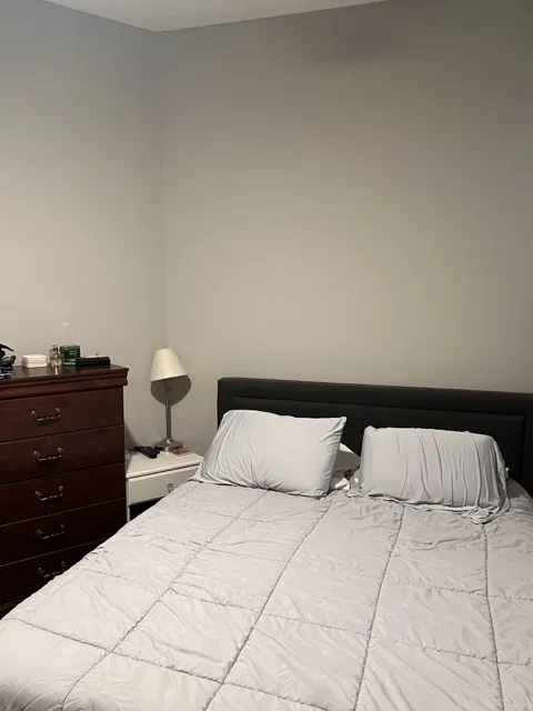 1649 N Paulina St, ,  60622, USA 60622-unit#2R-Chicago-IL