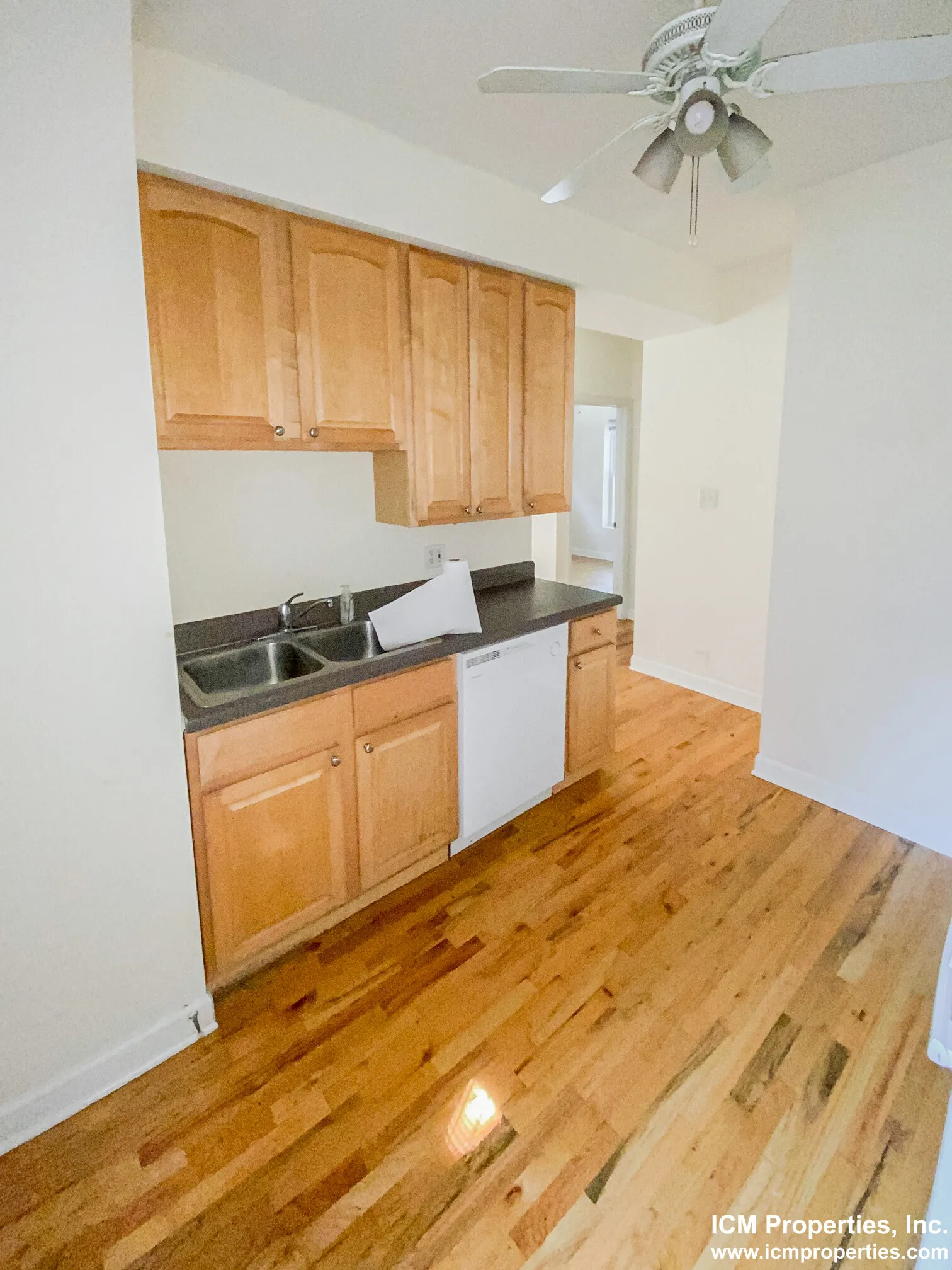 851 W Cornelia Ave, ,  60657, USA 60657-unit#851-1N-Chicago-IL