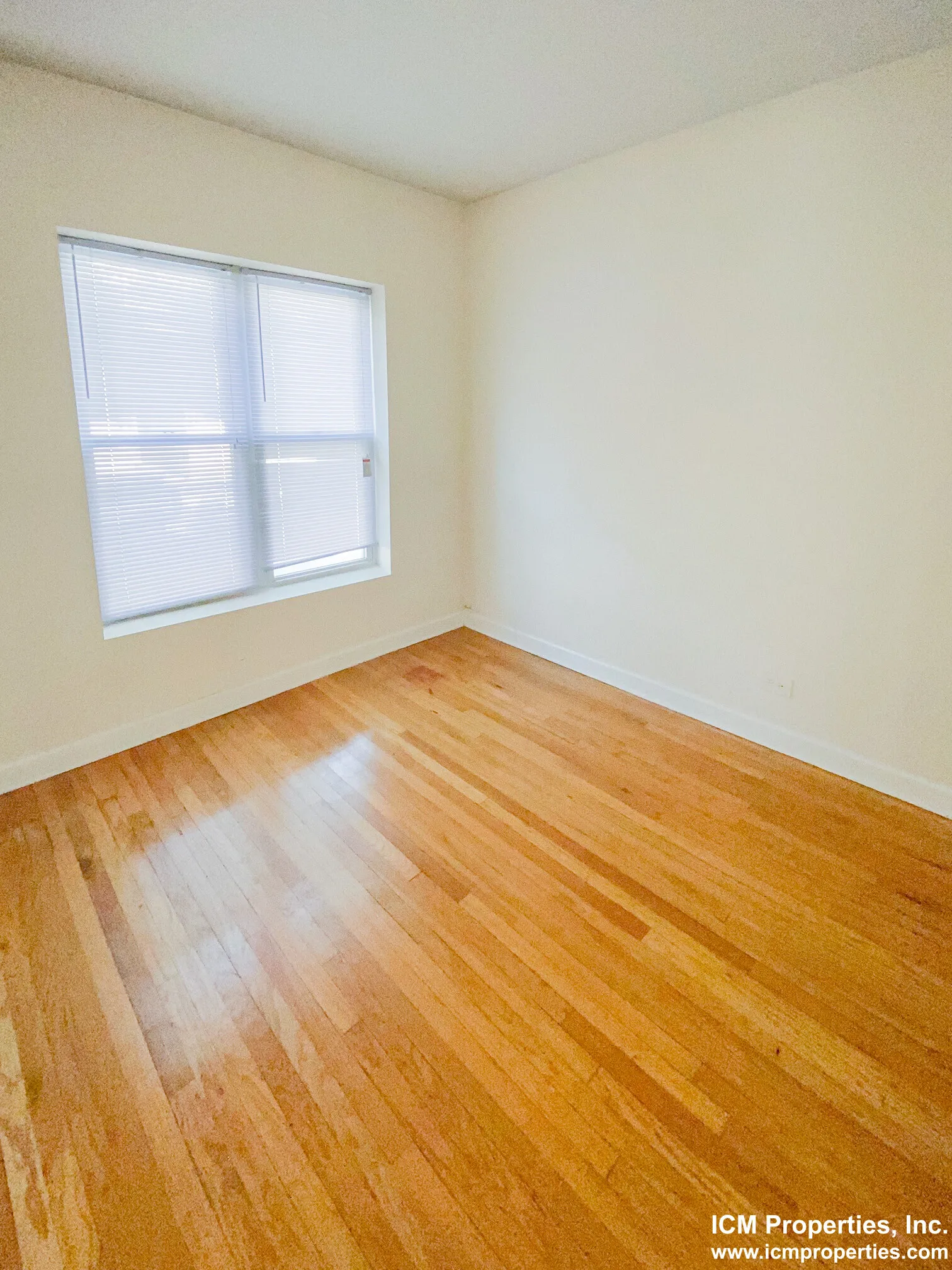 851 W Cornelia Ave, ,  60657, USA 60657-unit#851-1N-Chicago-IL
