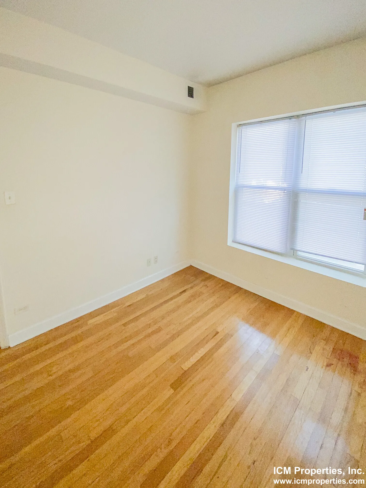 851 W Cornelia Ave, ,  60657, USA 60657-unit#851-1N-Chicago-IL