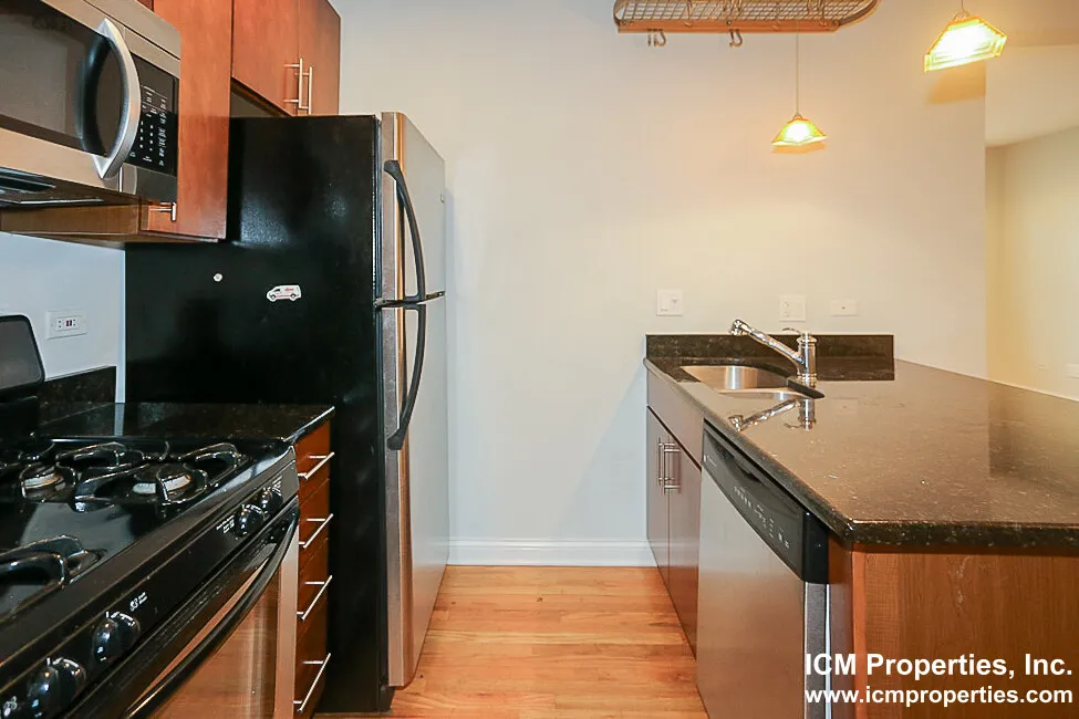1634 W Grace St, ,  60613, USA 60613-unit#3810MA2-Chicago-IL