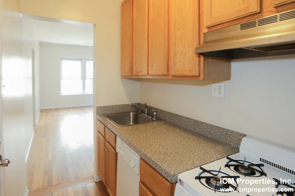 3912 N Pine Grove Ave, ,  60613, USA 60613-unit#3914-3W-Chicago-IL