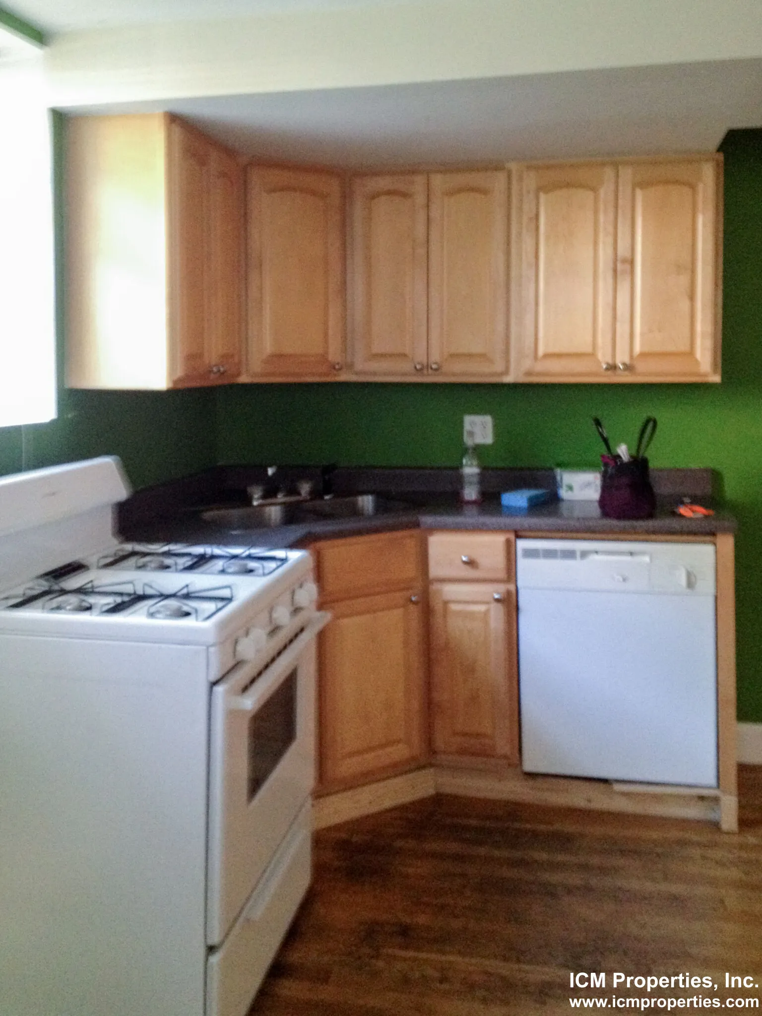 851 W Cornelia Ave, ,  60657, USA 60657-unit#851-GDN-Chicago-IL