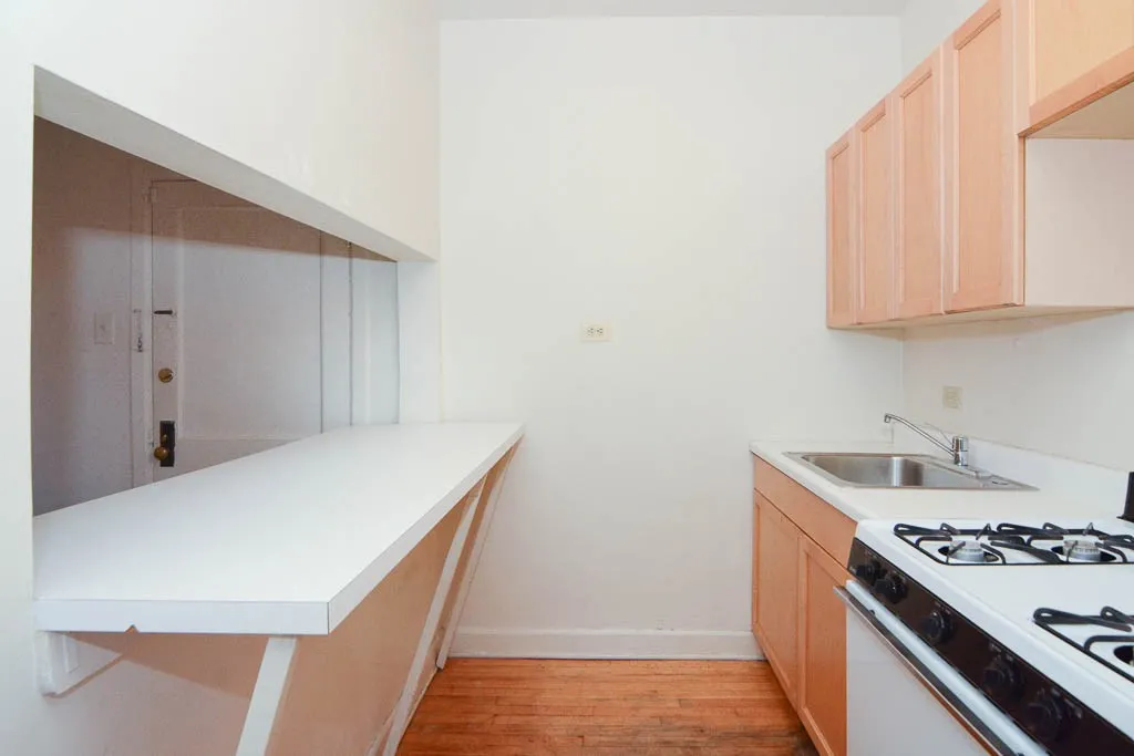 1050 W George St, ,  60657, USA 60657-unit#108-Chicago-IL