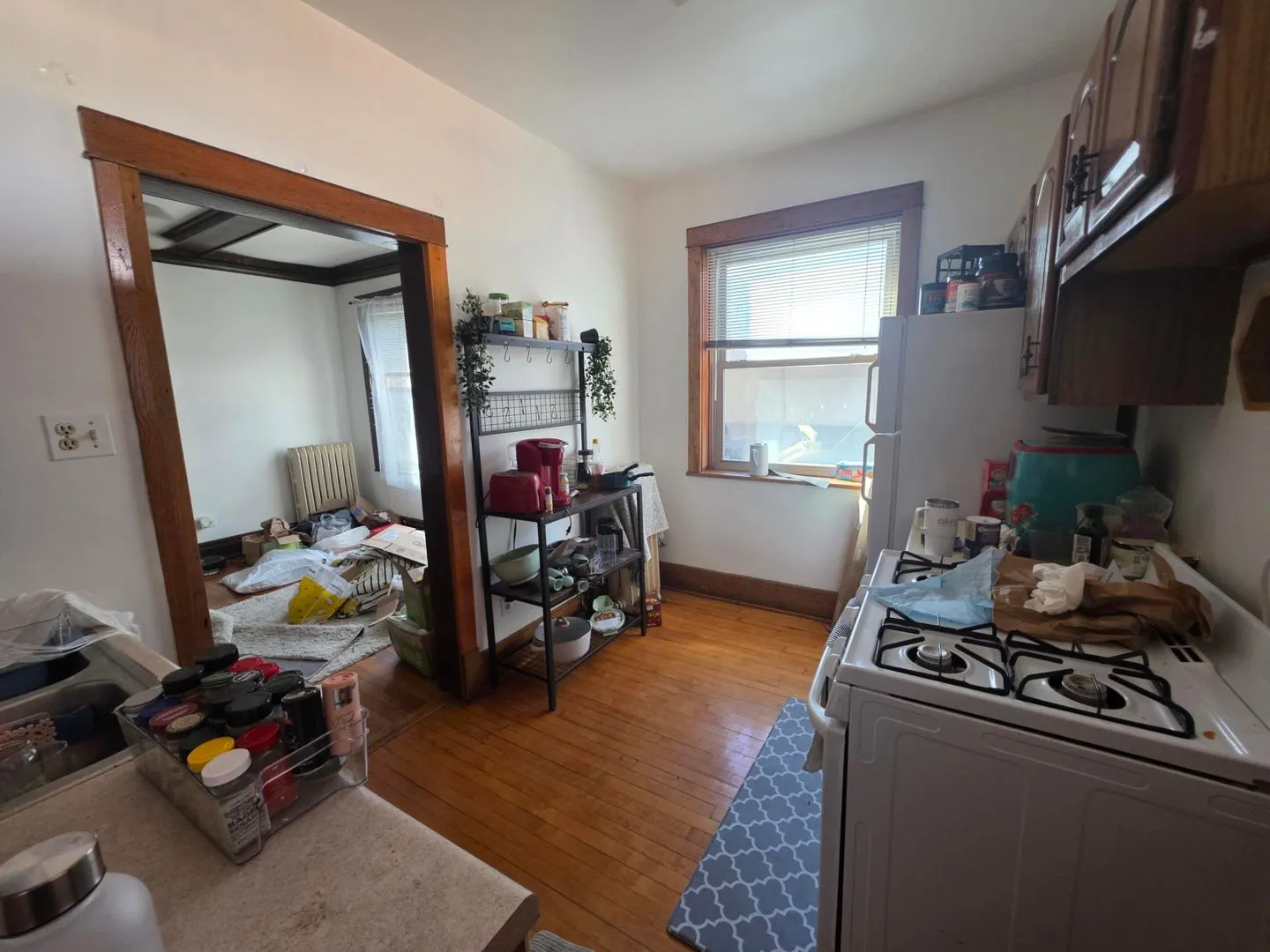 5542 N Winthrop Ave, ,  60640, USA 60640-unit#2-Chicago-IL