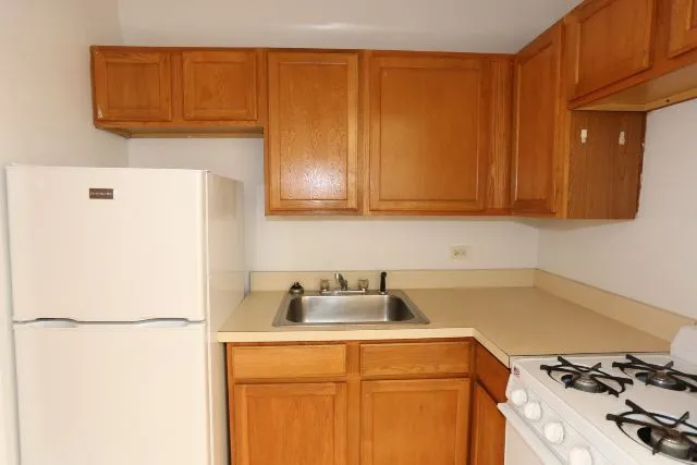 1164 N Dearborn St, ,  60610, USA 60610-unit#501-Chicago-IL