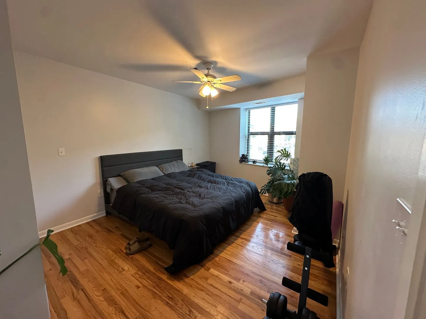 1337 W Fargo Ave, ,  60626, USA 60626-unit#207-Chicago-IL