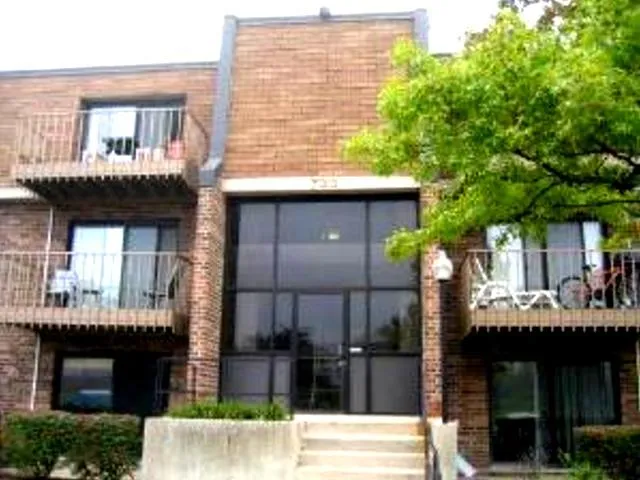 733 Limerick Ln, , 60193, USA 60193-unit#733-Schaumburg-IL