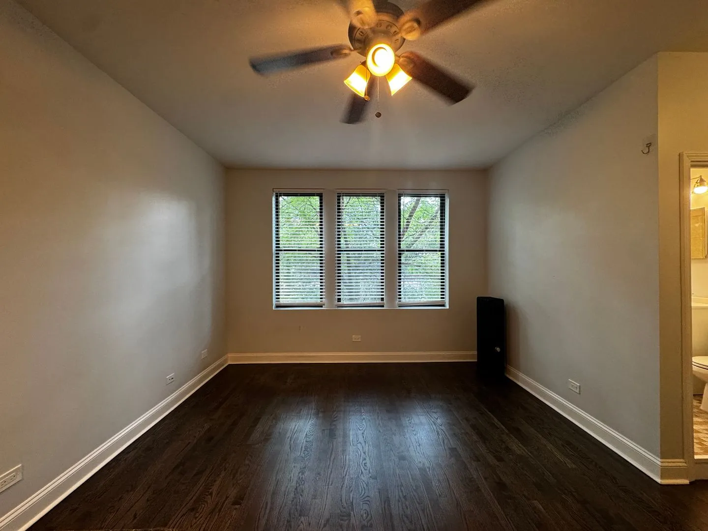 1344 W Lunt Ave, ,  60626, USA 60626-unit#317-Chicago-IL