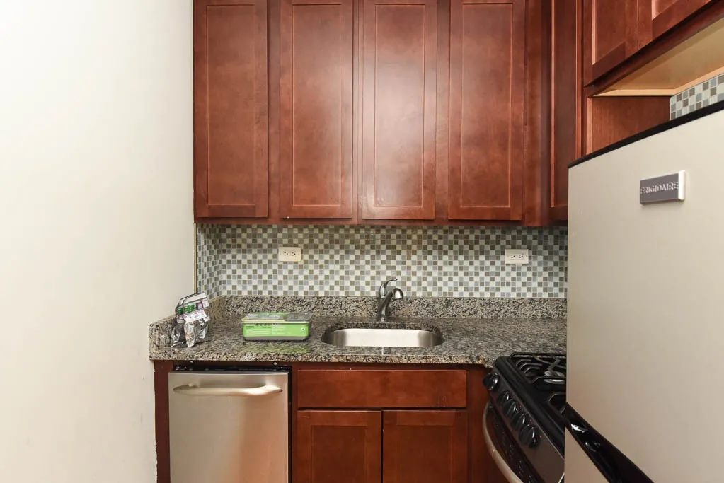 550 W Arlington Pl, , 60614, USA 60614-unit#207-Chicago-IL