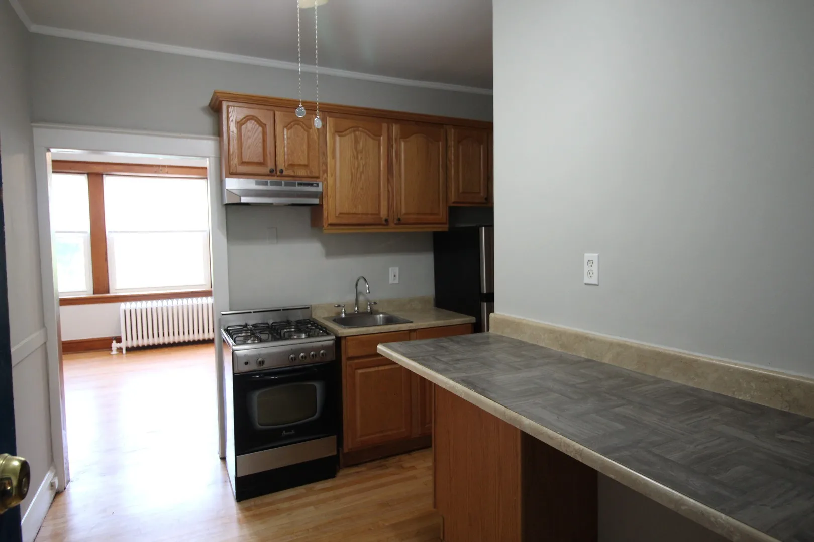 3925 W Schubert Ave, ,  60647, USA 60647-unit#2-Chicago-IL