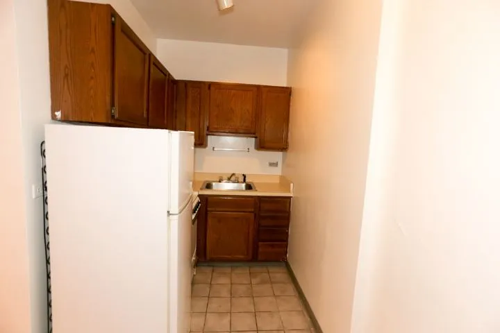 511 W Melrose St, , 60657, USA 60657-unit#206-Chicago-IL