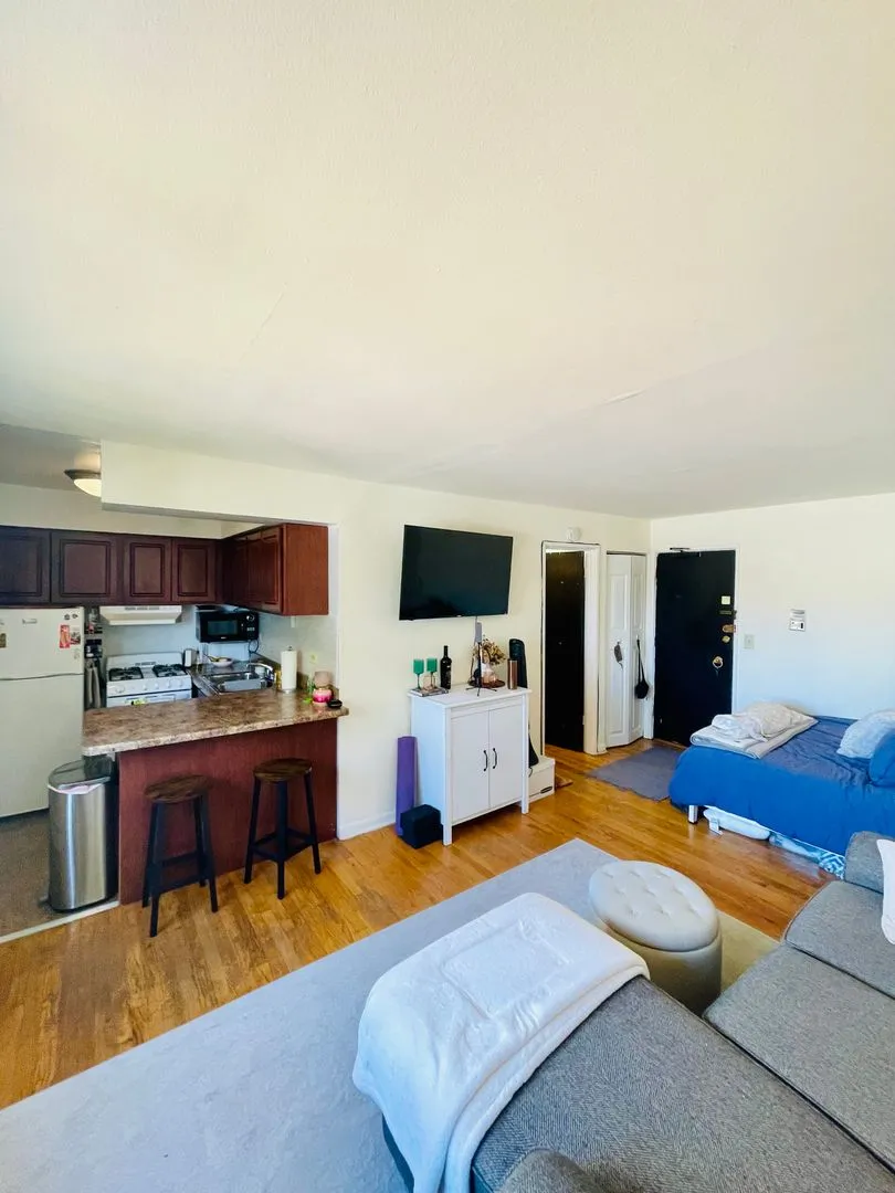 3160 N Cambridge Ave, , 60657, USA 60657-unit#504-Chicago-IL